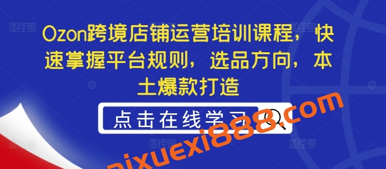 Ozon跨境店铺运营培训课程，快速掌握平台规则，选品方向，本土爆款打造