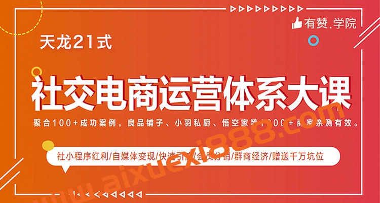 有赞学院 天龙21式 《社交电商运营体系大课》实体新零售拉新留存转化即学即用