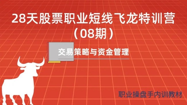 一飞金融天智一飞《28天股票职业短线飞龙特训营08期》